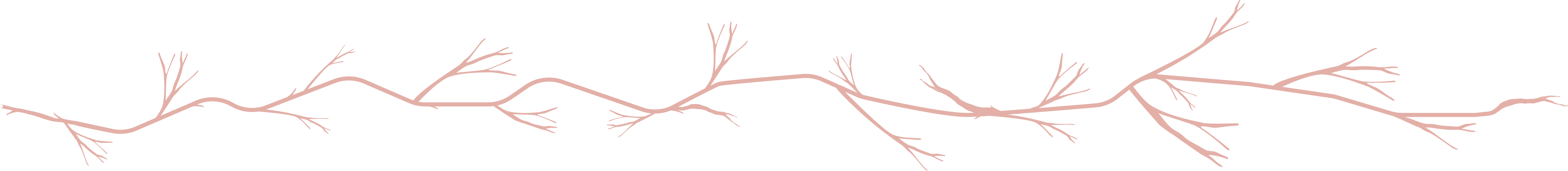 Nossa história - ilustração de raízes